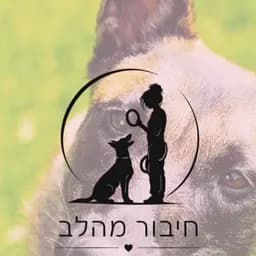 רוני ארמה