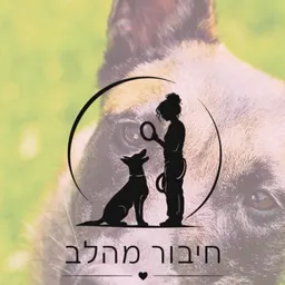 רוני ארמה